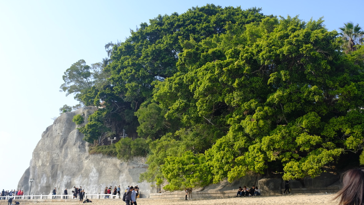 UNADJUSTEDNONRAW_thumb_10bcjpg