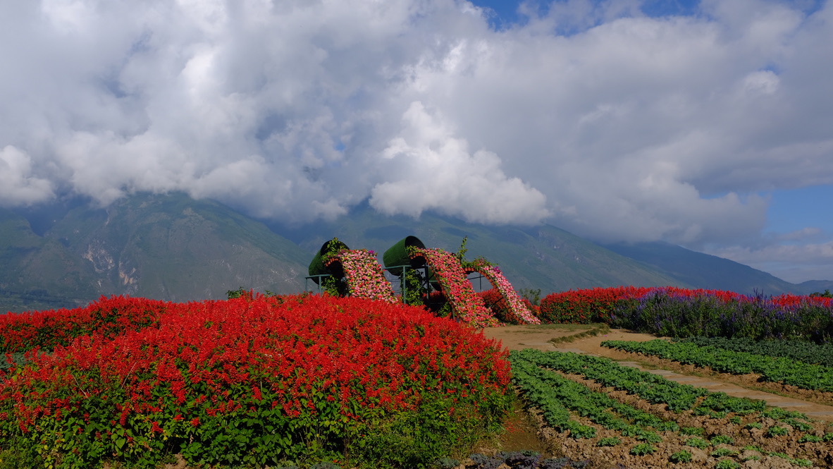 UNADJUSTEDNONRAW_thumb_d2bjpg