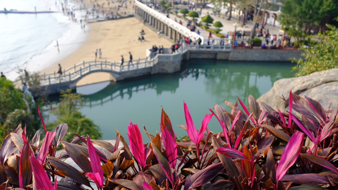 UNADJUSTEDNONRAW_thumb_f3cjpg