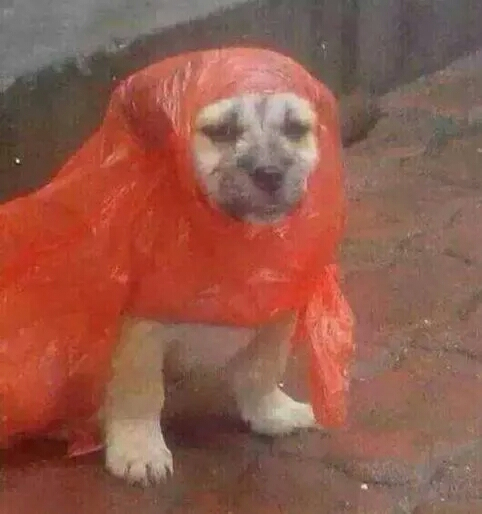 9d82d158ccbf6c8111750bcabb3eb13533fa4055jpg