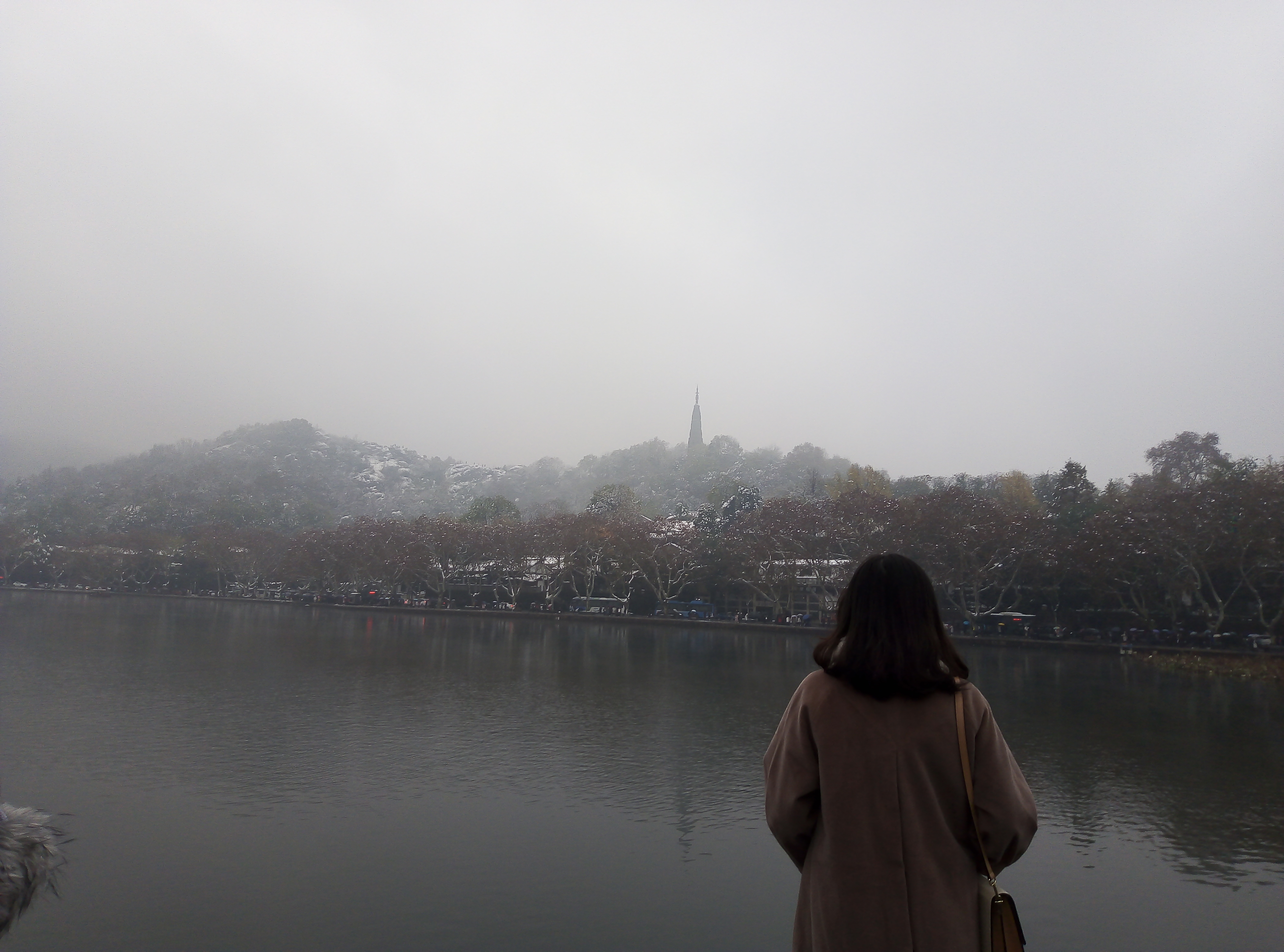 IMG_20181209_152053jpg