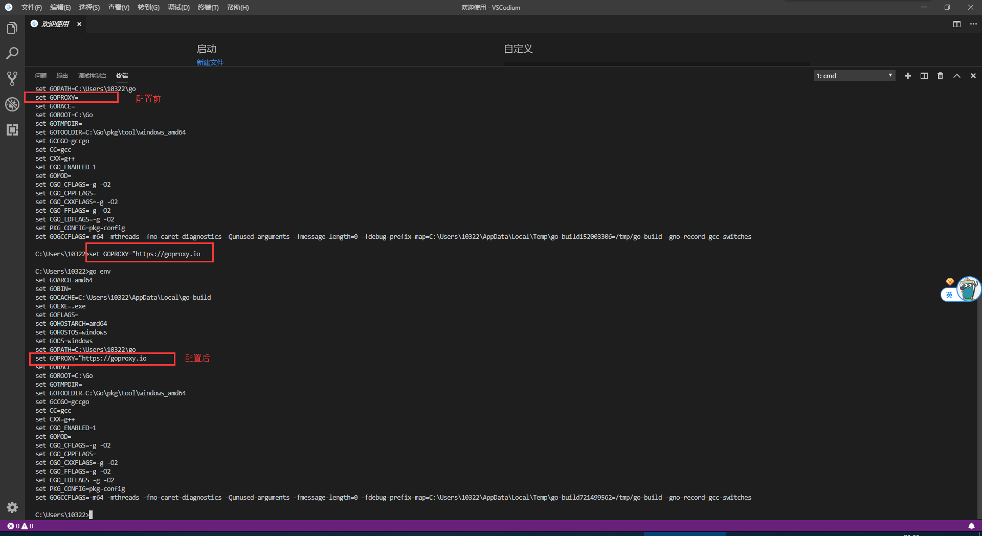 Vscode Golang 配置 链滴