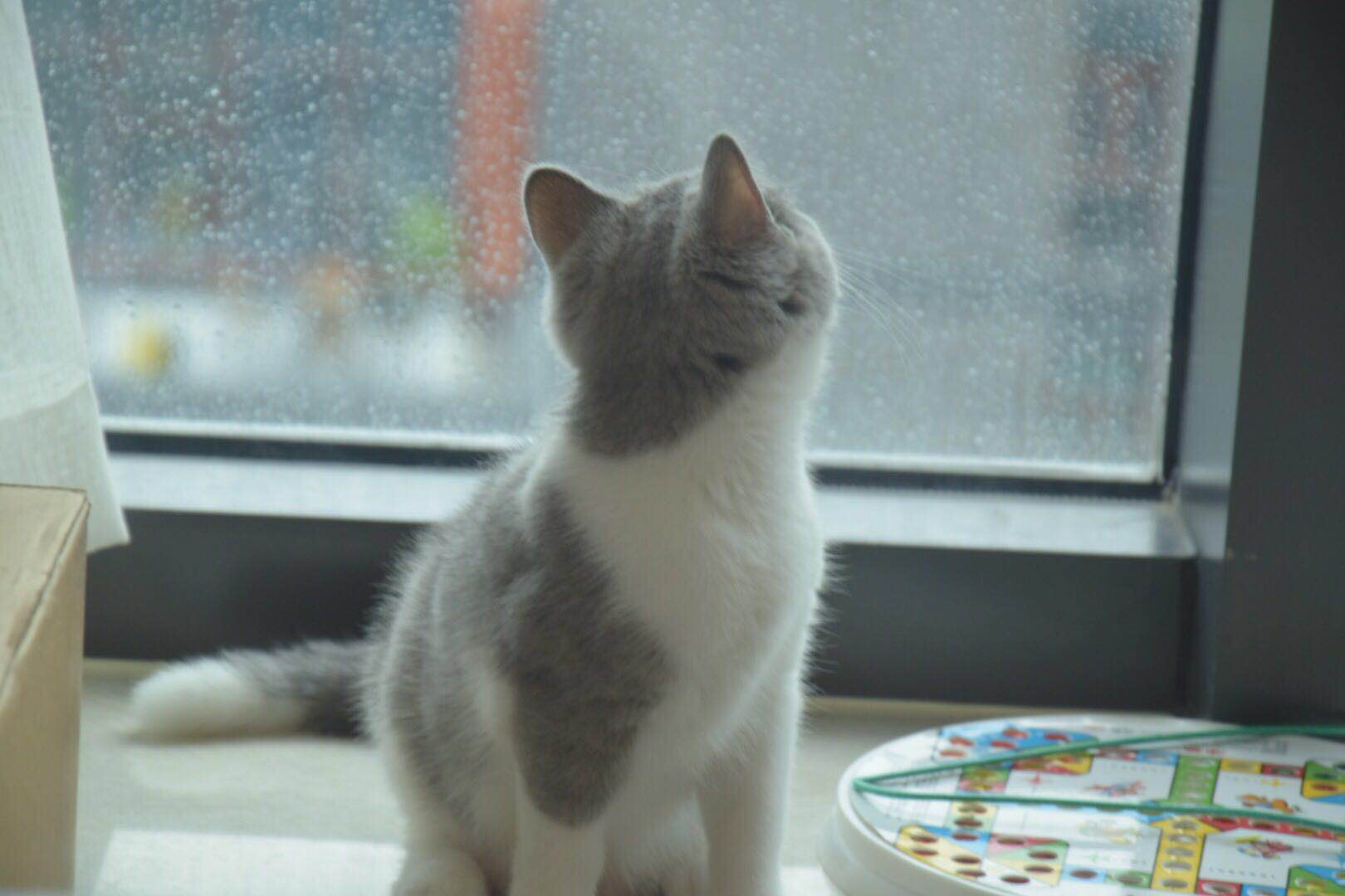 微信图片 20190705163243.jpg