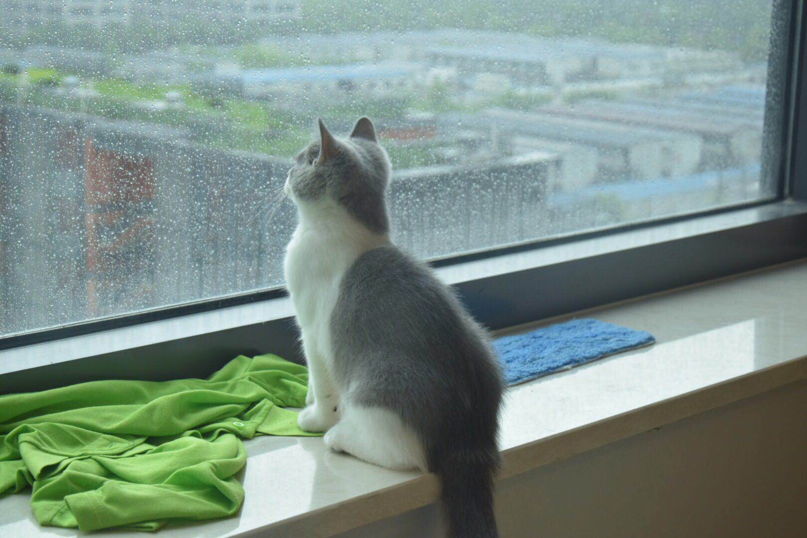 微信图片 20190705163251.jpg