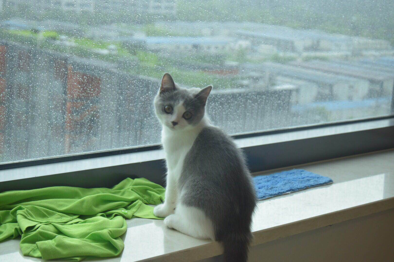 微信图片 20190705163256.jpg