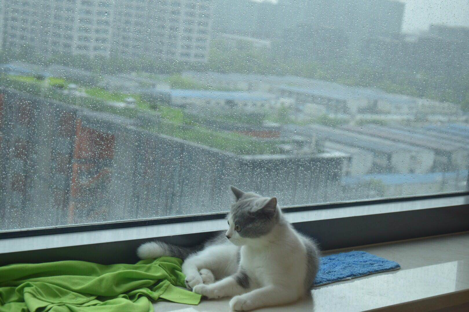 微信图片 20190705163304.jpg