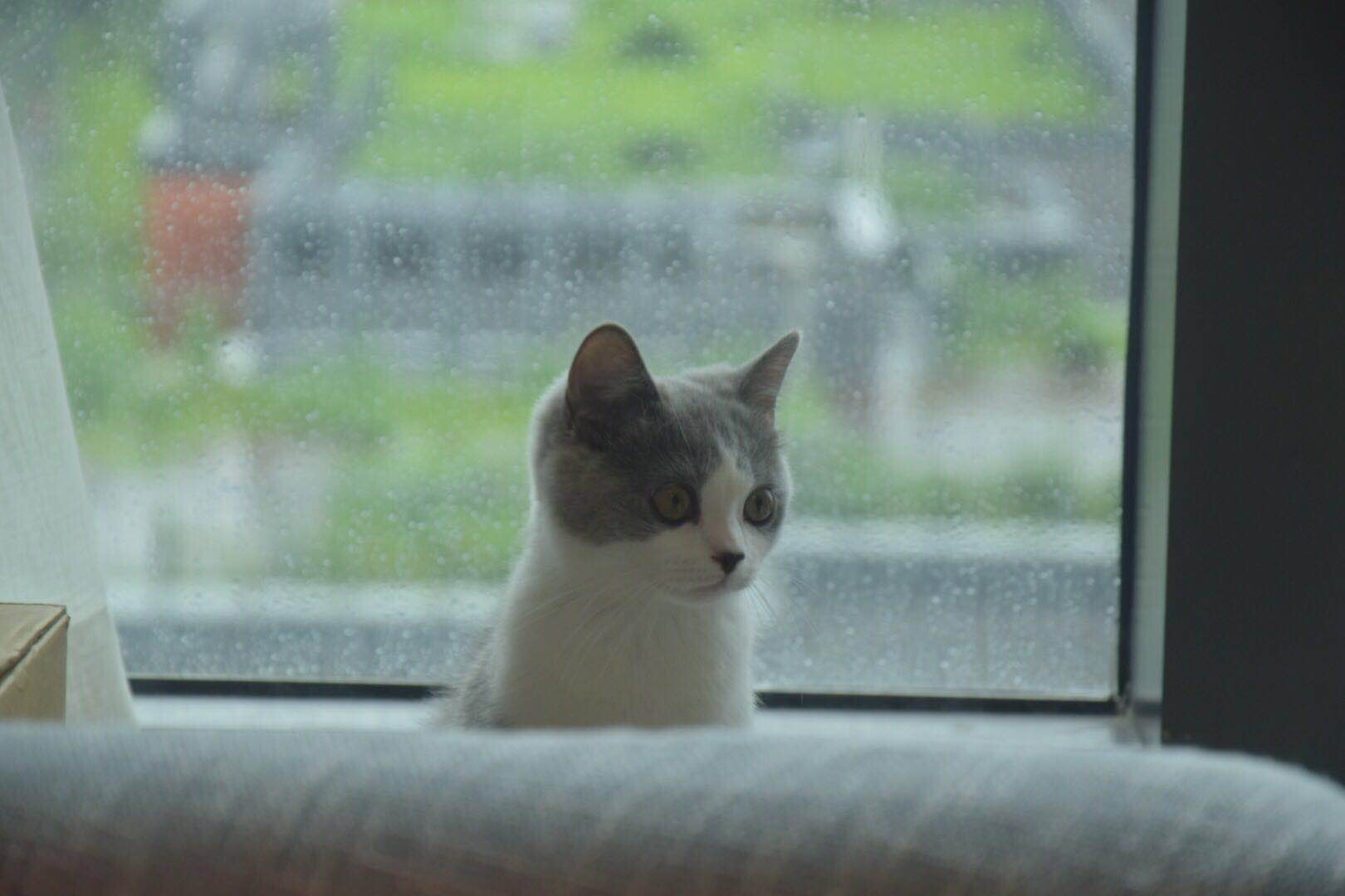 微信图片 20190705163308.jpg