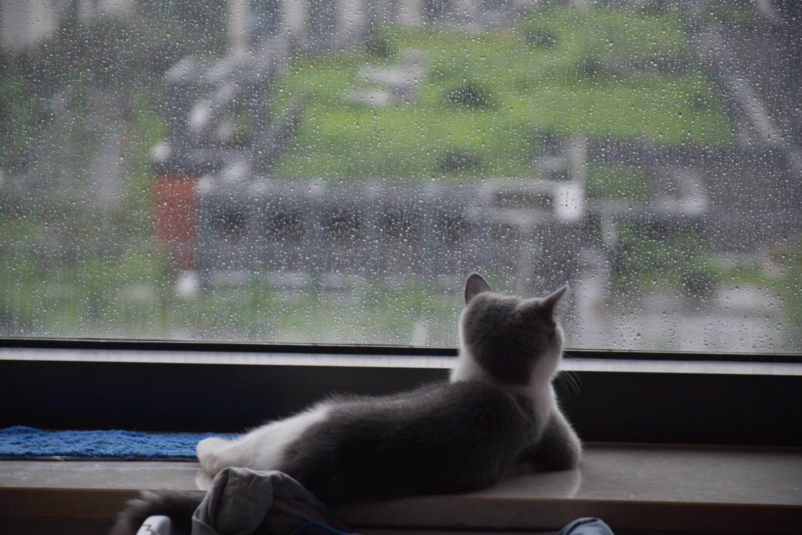 微信图片 20190705163311.jpg