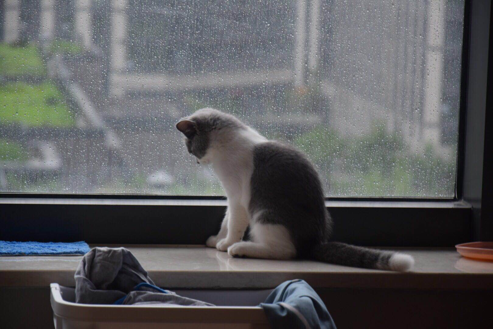 微信图片 20190705163315.jpg