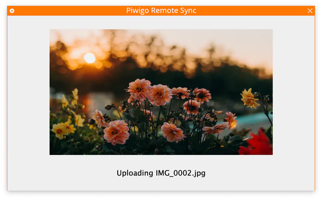 PiwigoRemoteSync3.png