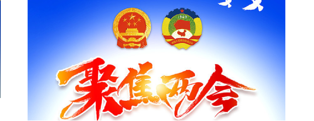 2020两会.png