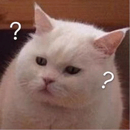 QQ 图片 20221217004859.gif