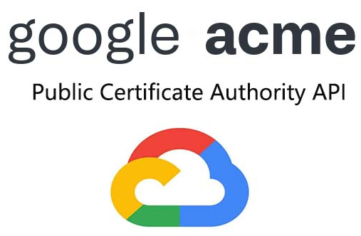 获取谷歌的公共证书颁发机构 API