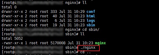 10Linux下安装Nginx.jpg