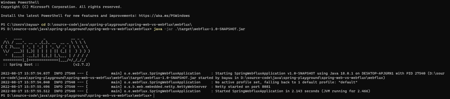 Webflux startup time
