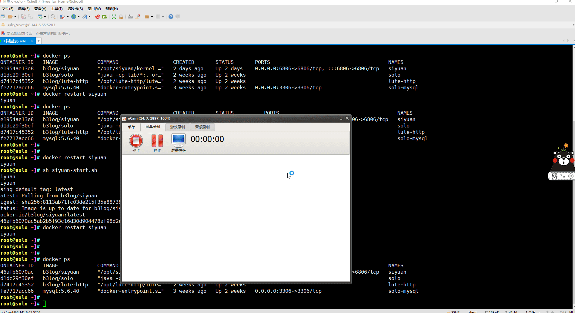 录制 20231229125650423.gif