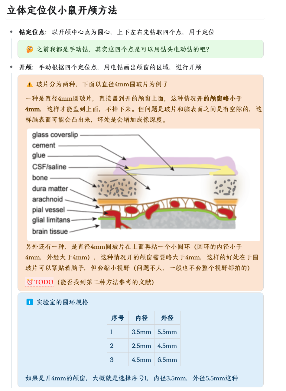 Clip_2024-01-04_20-52-32