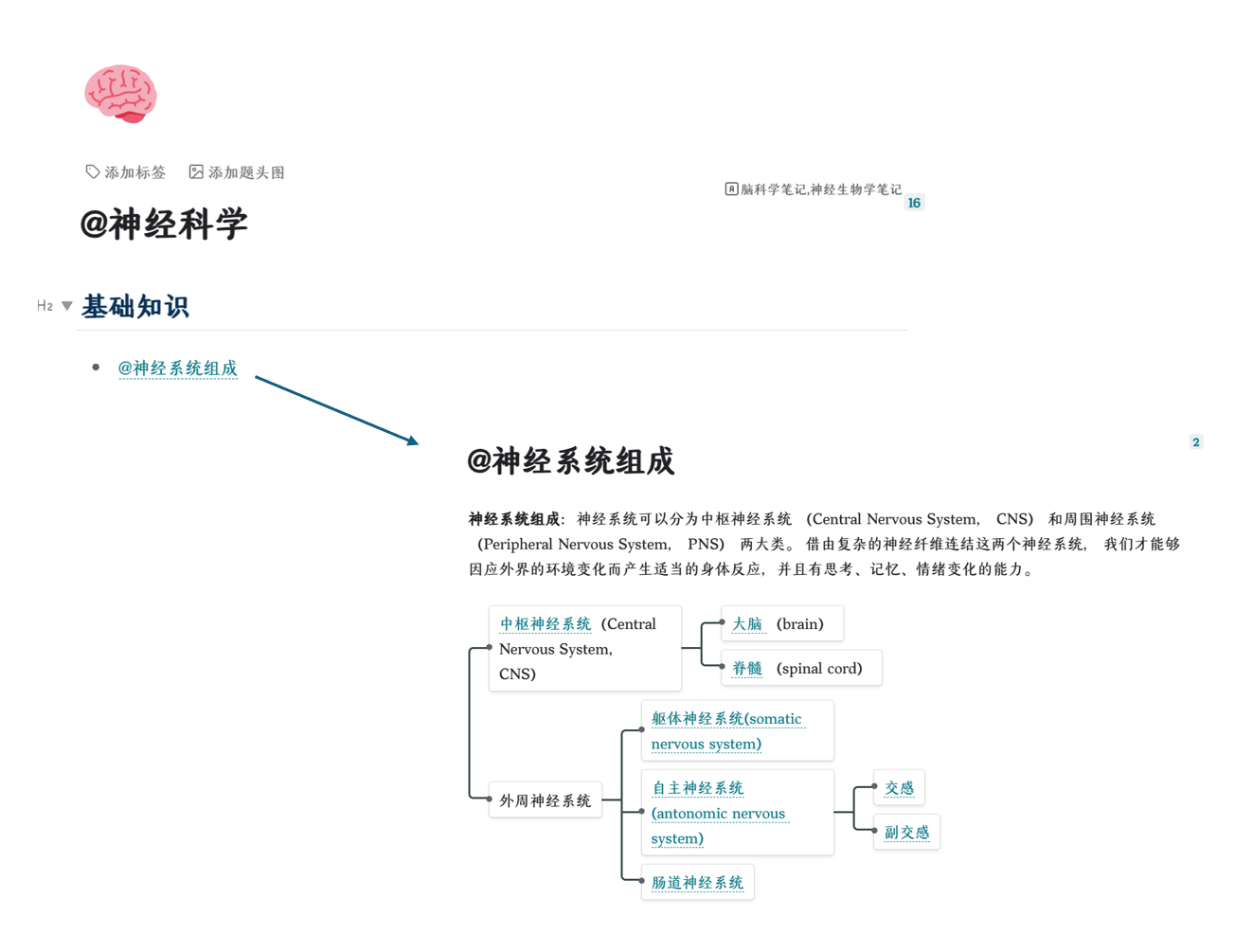 Clip_2024-05-11_23-16-47