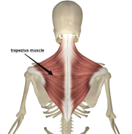 Clip_2024-05-23_22-29-25