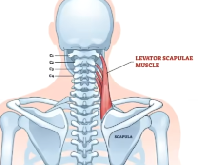 Clip_2024-05-23_22-29-37