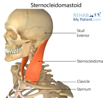 Clip_2024-05-23_22-30-25