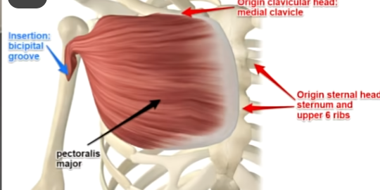 Clip_2024-05-23_22-30-38