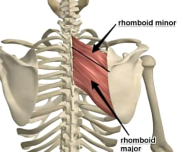 Clip_2024-05-23_22-31-14