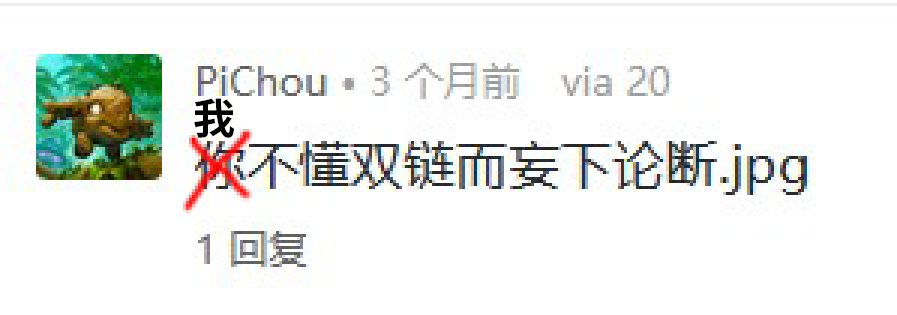 我不懂双链而妄下论断