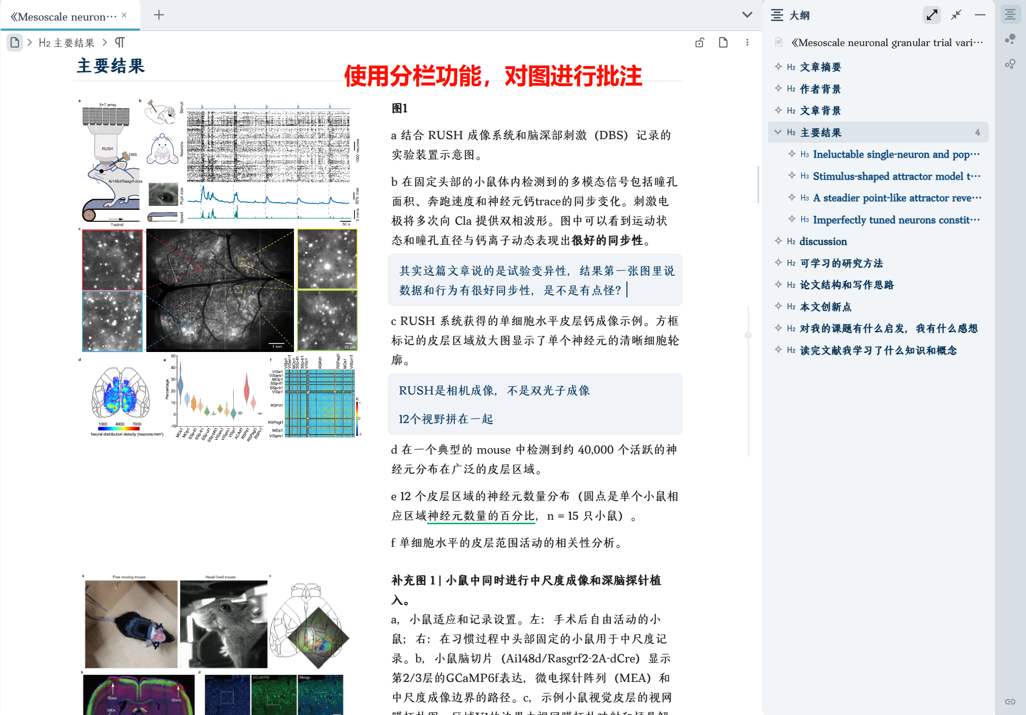 PixPin_2024-12-14_10-48-13