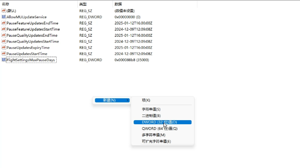 新建DWORD（32位值）
