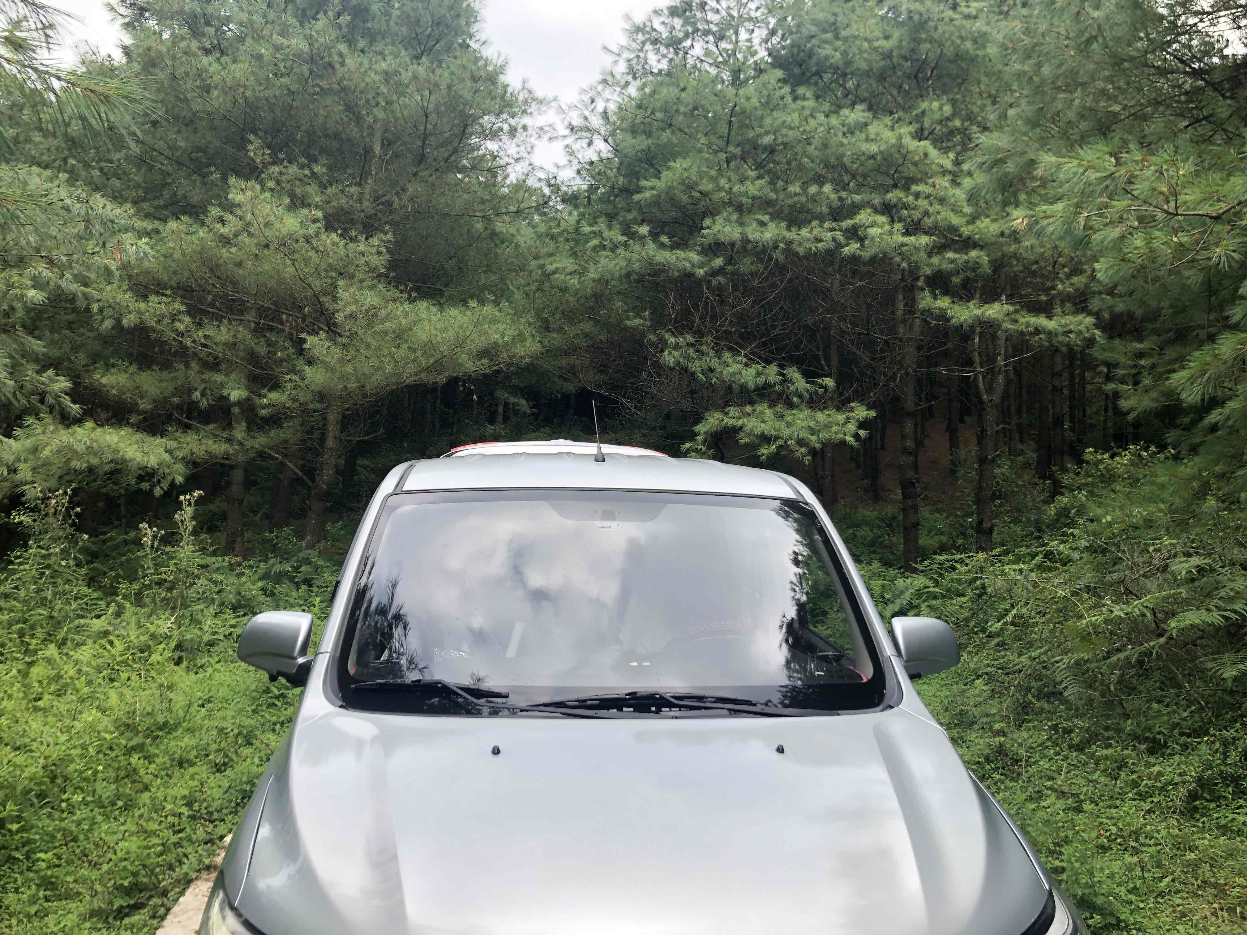 我的第一辆汽车