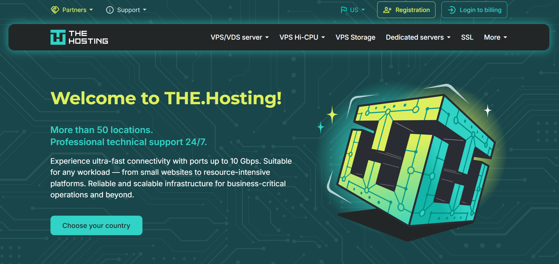 The Hosting 官网截图