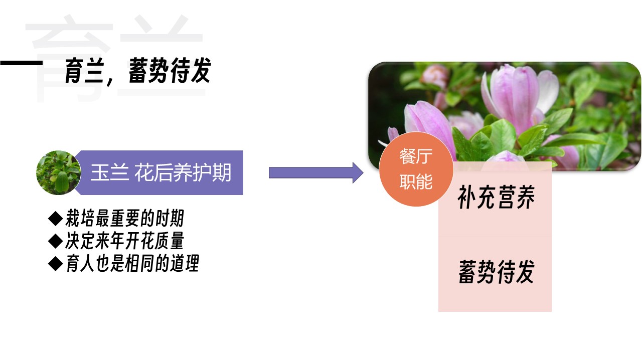 幻灯片 3.JPG