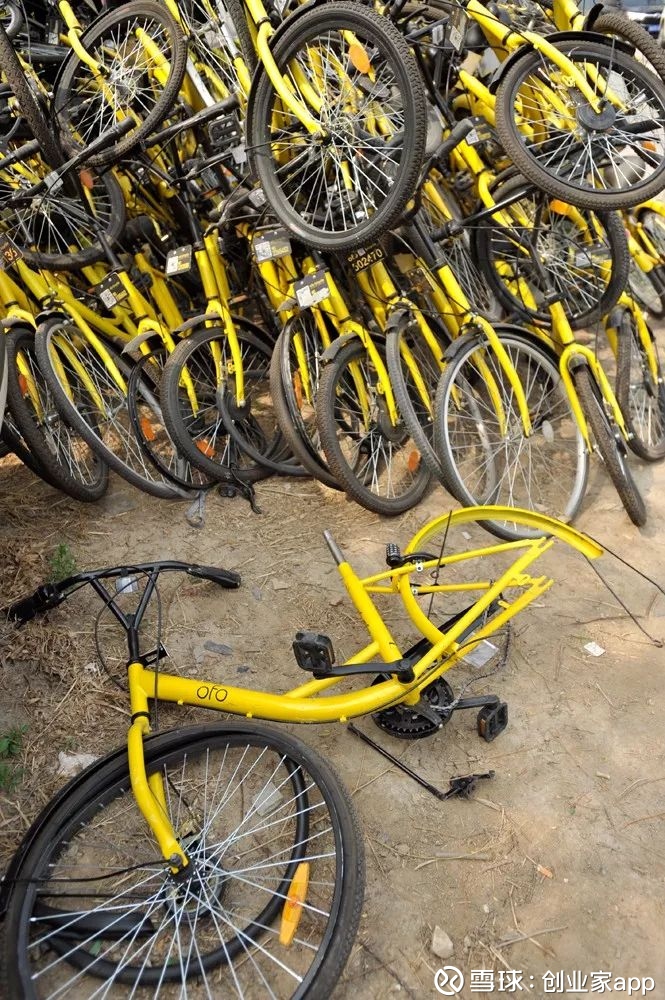 16135c11414266673fe71bf5jpg