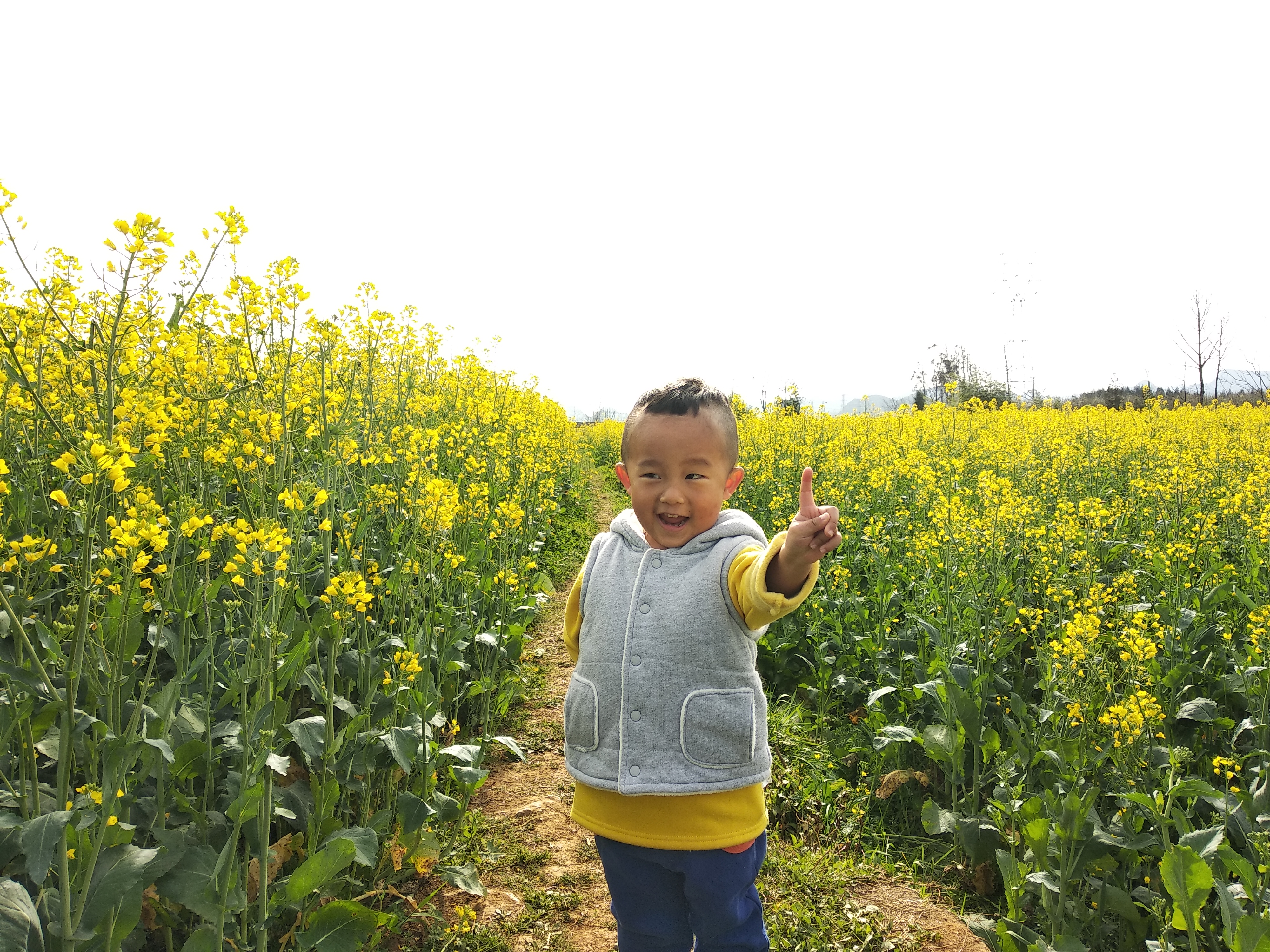 IMG_20180218_095647jpg